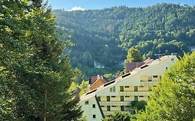 Black Forest Apartment